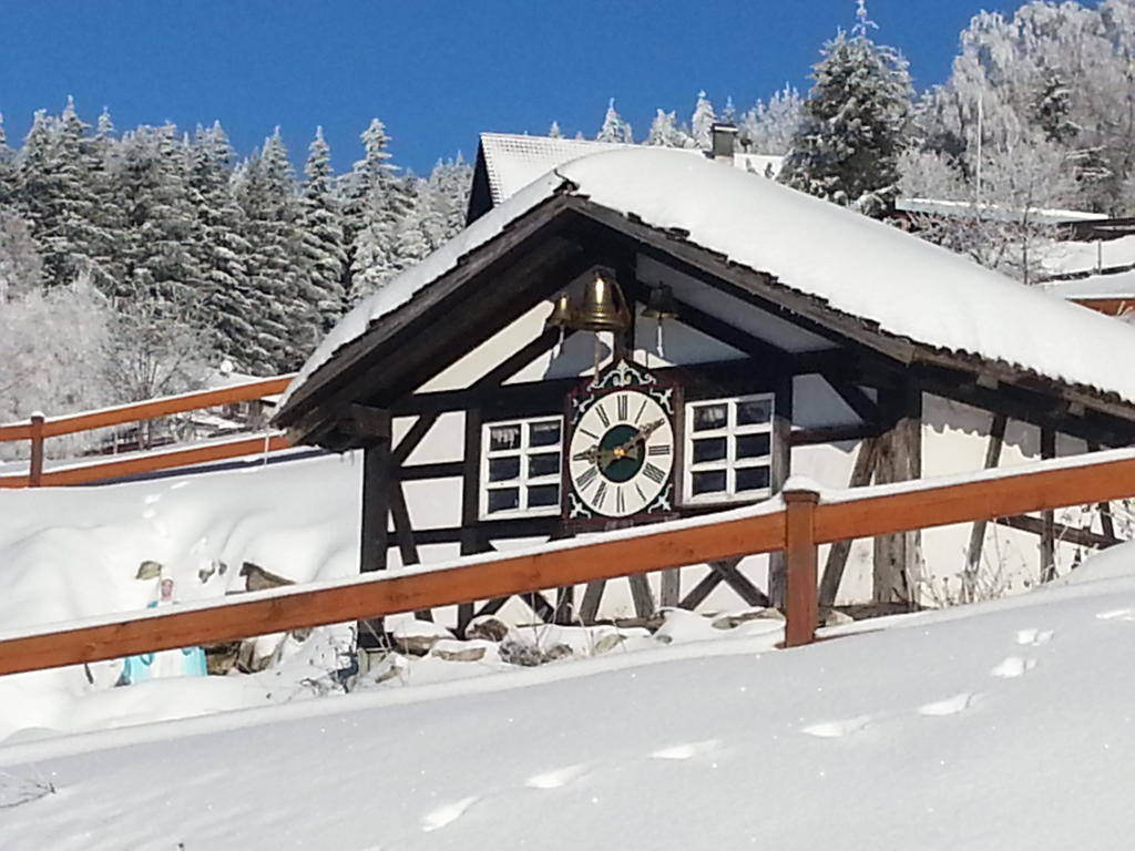 Hotel-Berggasthof Schwarzwaldperle ซัสบาควัลเดิน ภายนอก รูปภาพ