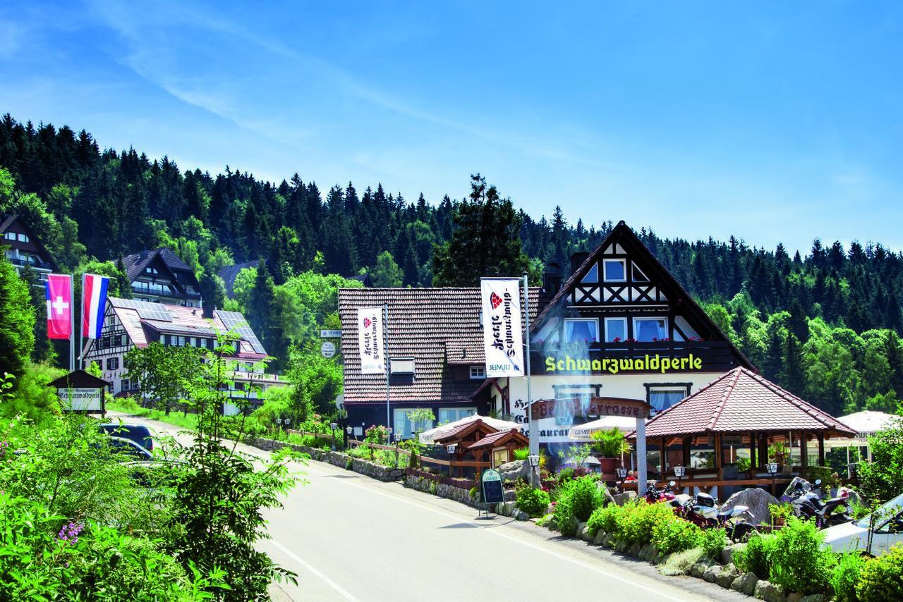 Hotel-Berggasthof Schwarzwaldperle ซัสบาควัลเดิน ภายนอก รูปภาพ