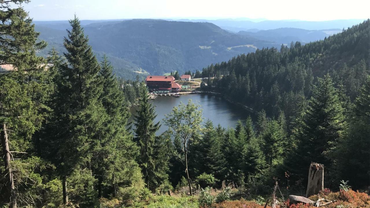 Hotel-Berggasthof Schwarzwaldperle ซัสบาควัลเดิน ภายนอก รูปภาพ