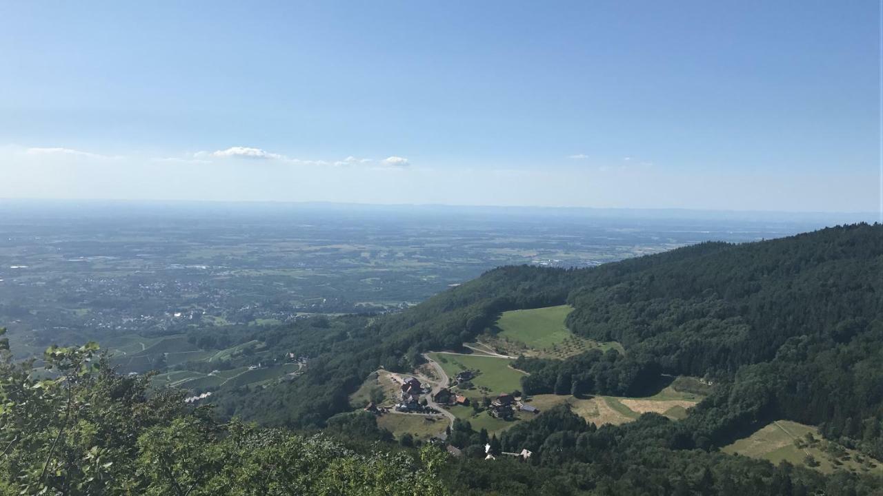 Hotel-Berggasthof Schwarzwaldperle ซัสบาควัลเดิน ภายนอก รูปภาพ